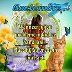 Ellen Petersen - @ellen.petersen.752 - Instagram