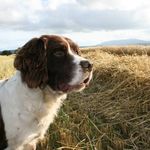 Ellen Phelan - @suncatcher81 - Instagram