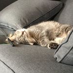 Ellen Pickering - @ecpickering - Instagram