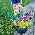 Mary Ellen Pickering - @maryellenpickering - Instagram