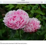 Ellen Power - @ellen.power.921 - Instagram