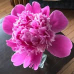 Ellen Power - Facebook
