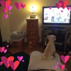 Ellen Power - Facebook