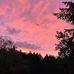 Ellen Pratt - Facebook