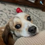 Ellen Pratt - @ellenpratt3 - Instagram