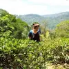 ellenpratt - @ellenpratt - TikTok