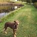 Ellen Puckett - Facebook