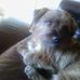 Ellen Putnam - Facebook