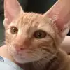 ellenramos - @ellenramos749 - TikTok