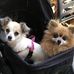 Ellen Rantall - Facebook