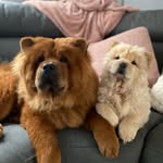 Ellen Reading - @gooseandpeggy - Instagram