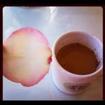 Ellen - @ellenreed - Instagram