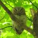 Ellen Reed - Facebook