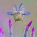 Ellen Register - Facebook