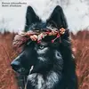 Ellen Reimer - @ellenreimer - TikTok