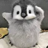 rennieellen1982 - @rennieellen1982 - TikTok