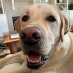 Ellen Rhodes - @ellenrhodes51 - Instagram