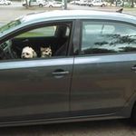 Ellen Richard - @ellen5899 - Instagram