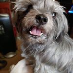 Ellen Richey - @ellen.richey.9 - Instagram