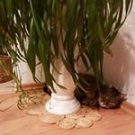 Ellen Richter - @grabeliene51 - Instagram