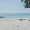 ellenrico533 - @ellenrico533 - TikTok