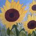 Ellen Ridgway - Facebook