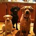 Ellen Rieger - Facebook