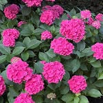 Ellen Ringer - @ellen.ringer.73 - Instagram