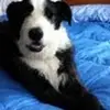 Ellen Rigterink - @ellen.rigterink - TikTok