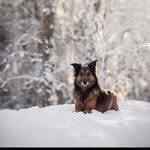 ellen_rink - @ekdi_ep - Instagram