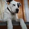 Ellen Rinklake - @ellenrinklake - TikTok