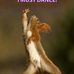 Eileen Rockwell - Facebook