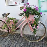 Ellen Cuppen-Roelofs - @024.ellen - Instagram