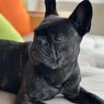 Ellen Rohrbeck - @rohrbeckellen - Instagram