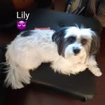 Ellen Rollins - @ellen.rollins.7509 - Instagram