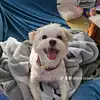 Ellen Rosengarten - @ellen.rosengarten - TikTok