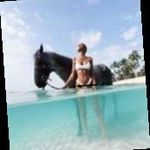 Ellen Rosenbaum - @ellenrosenbaum3 - Instagram