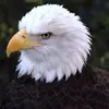 ellenrosenbaum376 - @ellenrosenbaum376 - TikTok