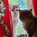 Ellen Ross - Facebook