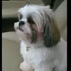 @ellen_ross - @ellen_ross15 - TikTok