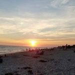 Ellen Rothman - @rothmanellen - Instagram