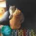 Ellen Rothmann - Facebook