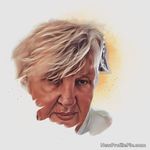 Ellen Rowan - @otterrow7 - Instagram