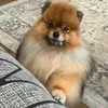 ellenkrowan - @ellenkrowan - TikTok