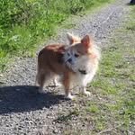 Ellen Schippers - @elviraschippers - Instagram