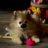 ellenschriever - @ellenschriever - TikTok