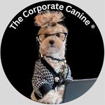 Ellen Craig Schulman - @ellencraigschulman - Instagram