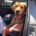 Ellen Schuman - Facebook