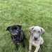 Ellen Schultz - Facebook