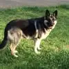 Ellen Sears Smith - @ellen.sears.smith - TikTok